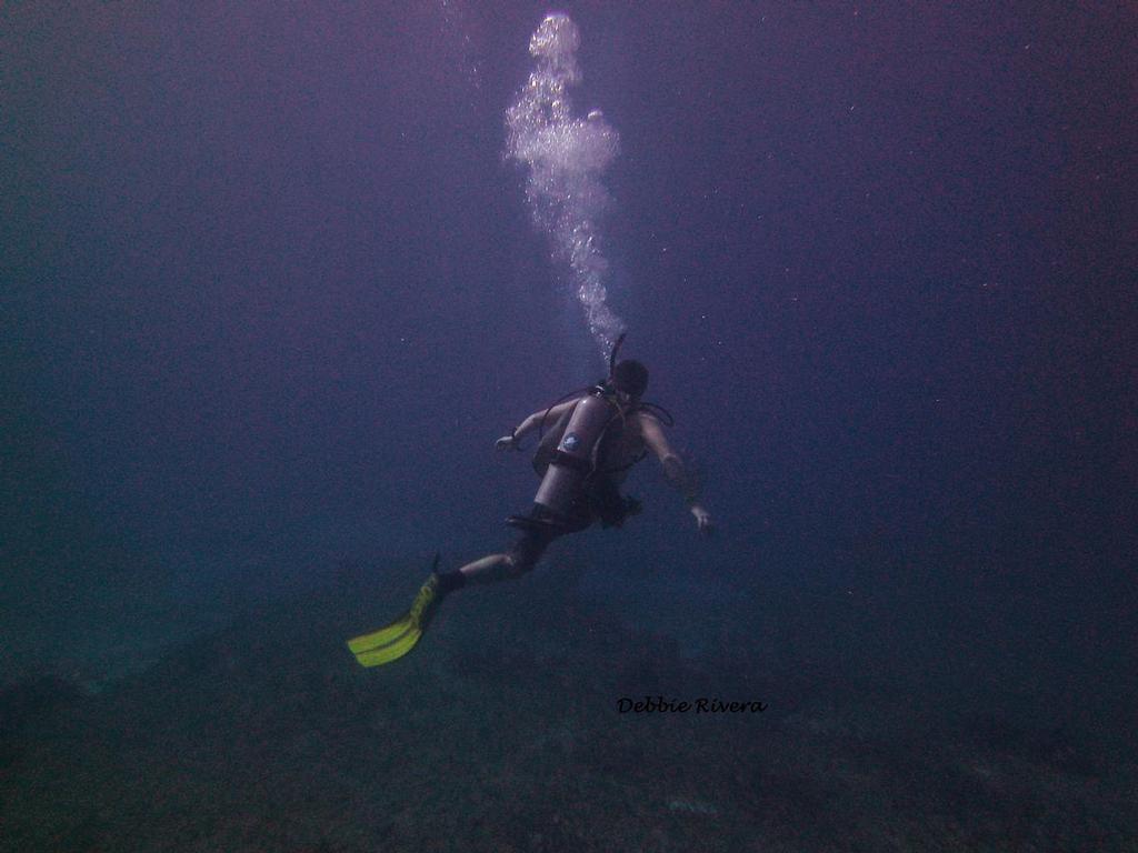 Veteran Scuba Diving © Debbie Rivera